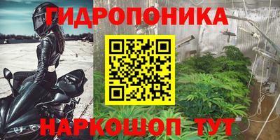 индика Бийск