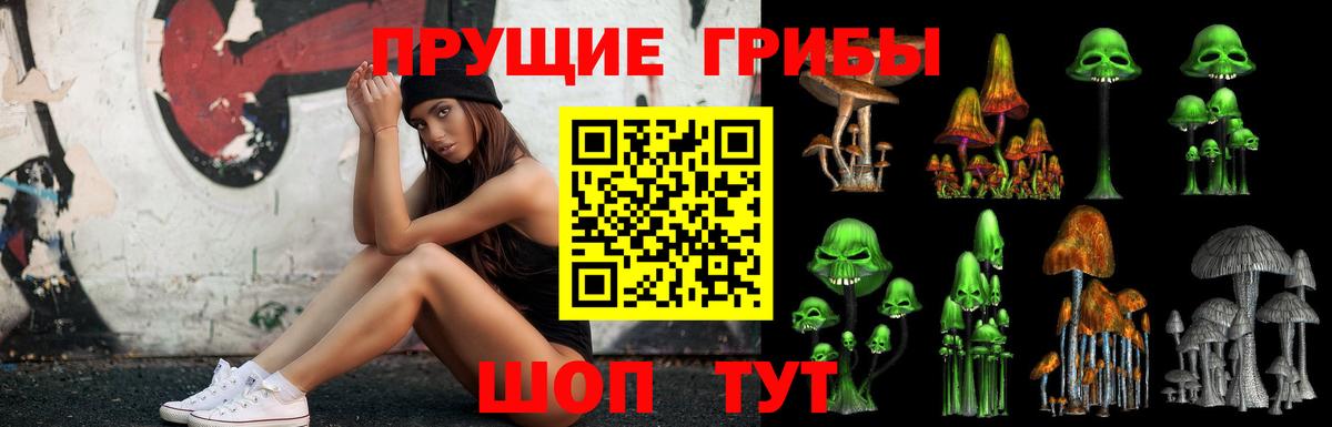 Псилоцибиновые грибы GOLDEN TEACHER Ахтубинск