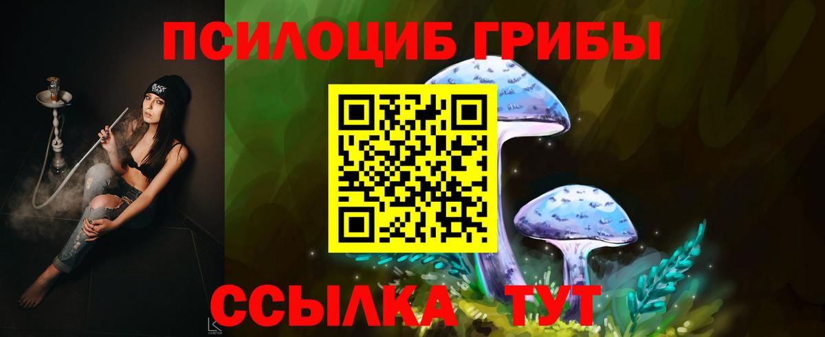 купить наркотик  Псилоцибиновые грибы GOLDEN TEACHER  Вход с VPN  Ахтубинск 